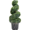 Maison Exclusive - Plante de buis artificiel en spirale avec pot vert 89 cm Sale