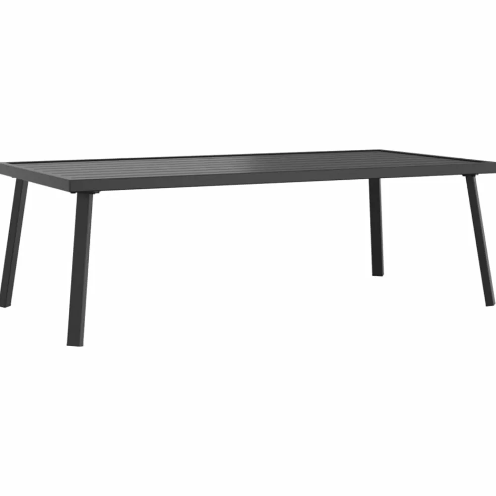 Maison Exclusive Salons De Jardin | - Salon de jardin 2 pcs anthracite acier