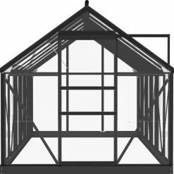 Maison Exclusive - Serre en verre anthracite 155x298x191 cm aluminium Sale