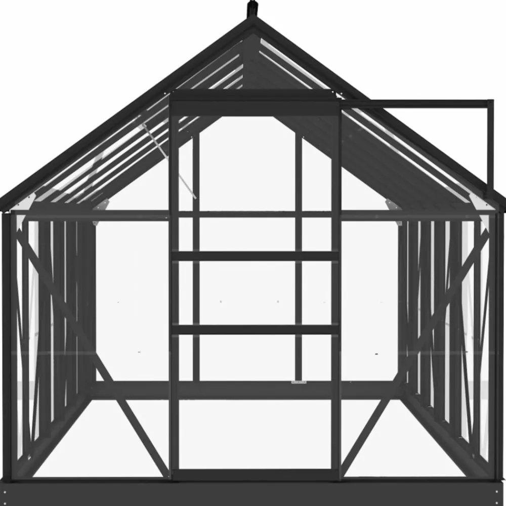 Maison Exclusive - Serre en verre anthracite 155x298x191 cm aluminium Sale