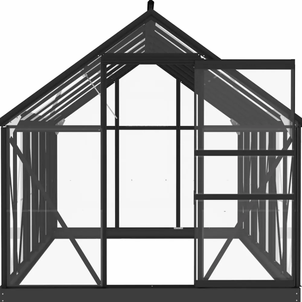 Maison Exclusive - Serre en verre anthracite 155x298x191 cm aluminium Sale