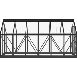Maison Exclusive - Serre en verre anthracite 155x298x191 cm aluminium Sale