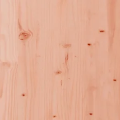 Maison Exclusive Mobilier Pour Enfants | - Table de pique-nique pour enfants bois massif de douglas