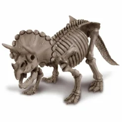 4m - Coffret découverte de la science - déterre ton triceratops Hot