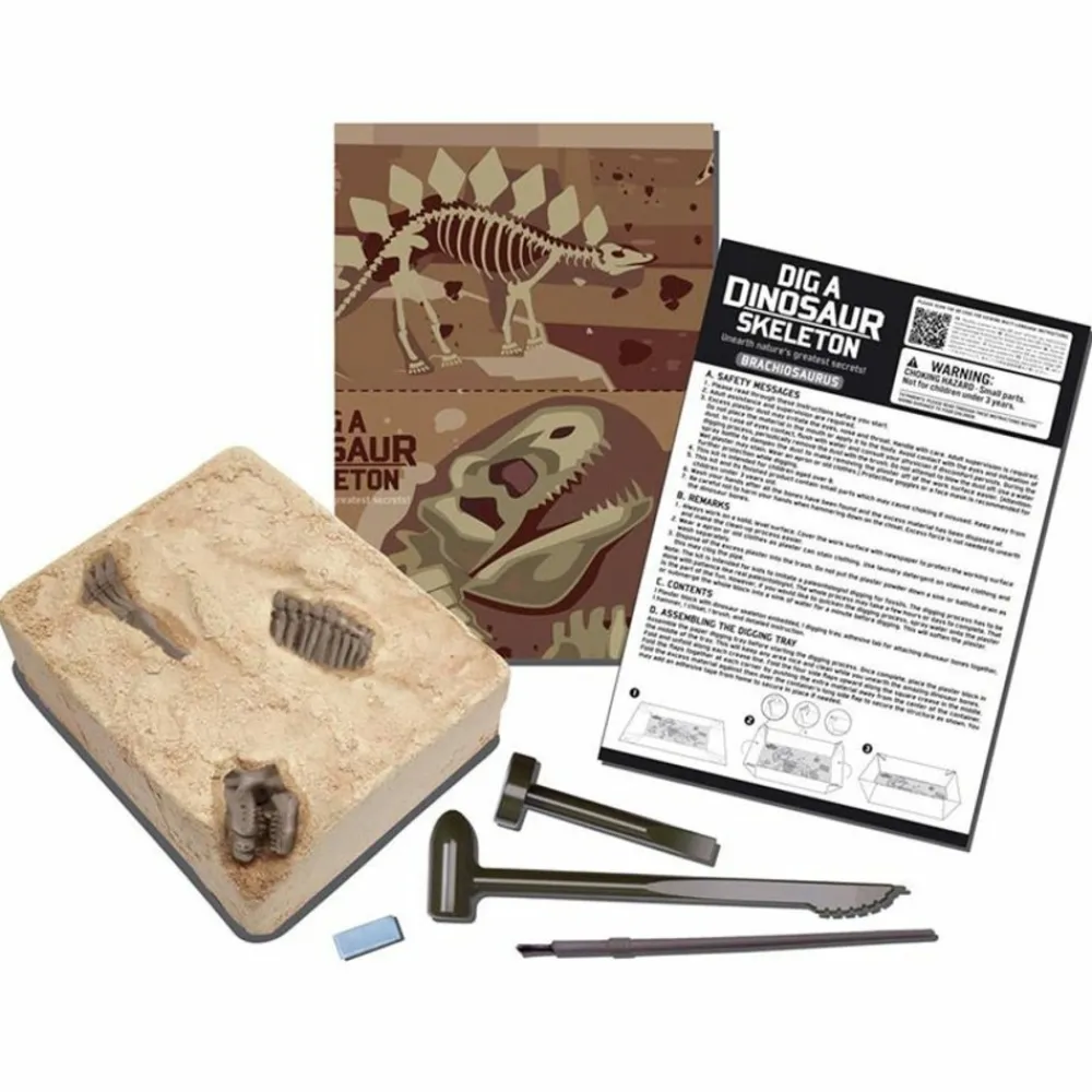 4m - Coffret découverte de la science - déterre ton brachiosaure Online