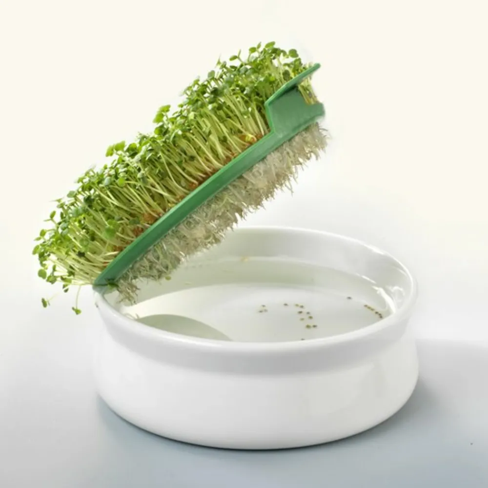 Mes Courses En Vrac Graines De Fleurs | - Coupelle de germination pour graines à mucilage