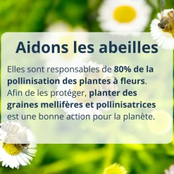 Mes Courses En Vrac - Cultivea diy bombes de graines semis de fleurs à planter pour abeilles Best