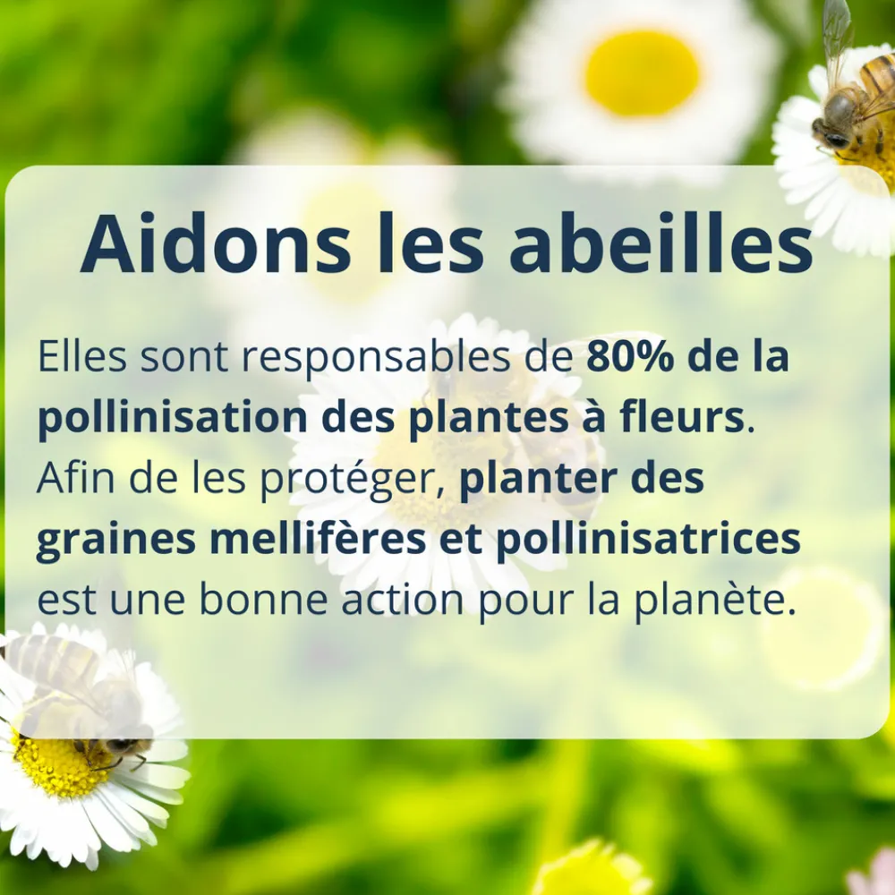 Mes Courses En Vrac - Cultivea diy bombes de graines semis de fleurs à planter pour abeilles Best