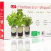 Mes Courses En Vrac - Cultivea® kit prêt à pousser d’herbes aromatiques - menthe, coriandre, thym Outlet