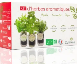 Mes Courses En Vrac - Cultivea® kit prêt à pousser d’herbes aromatiques - menthe, coriandre, thym Outlet