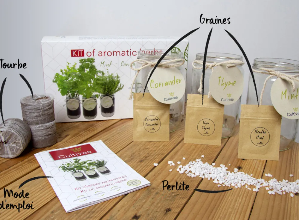 Mes Courses En Vrac - Cultivea® kit prêt à pousser d’herbes aromatiques - menthe, coriandre, thym Outlet