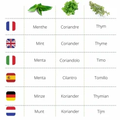 Mes Courses En Vrac - Cultivea® kit prêt à pousser d’herbes aromatiques - menthe, coriandre, thym Outlet