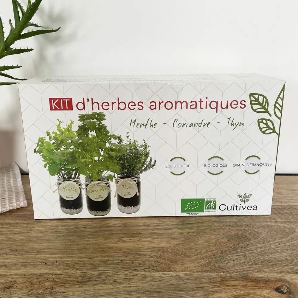 Mes Courses En Vrac - Cultivea® kit prêt à pousser d’herbes aromatiques - menthe, coriandre, thym Outlet