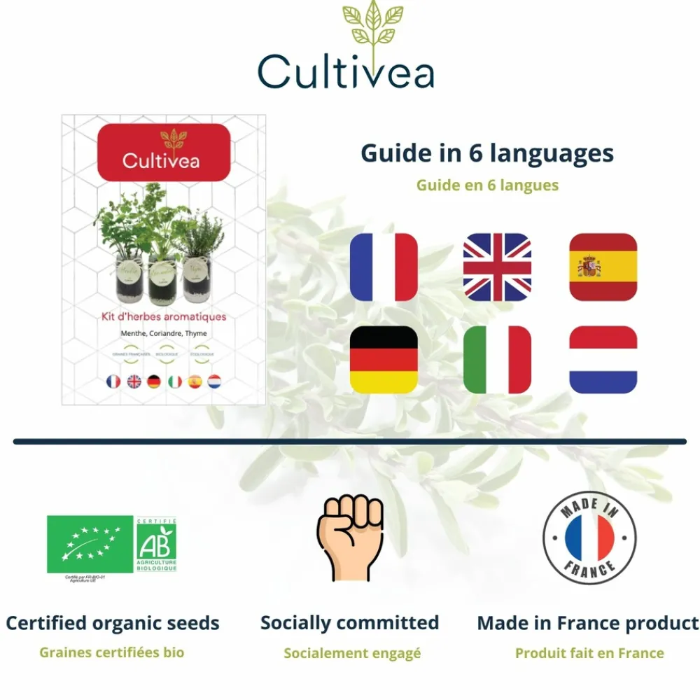 Mes Courses En Vrac - Cultivea® kit prêt à pousser d’herbes aromatiques - menthe, coriandre, thym Outlet