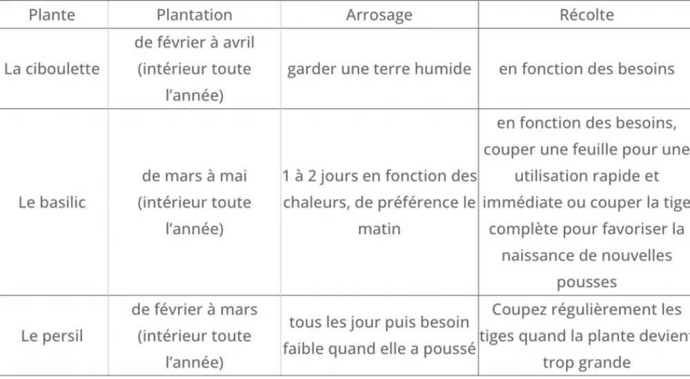 Mes Courses En Vrac - Cultivea kit prêt à pousser d’herbes aromatiques - jardin potager d’intérieur - (ciboulette, basilic persil) Discount
