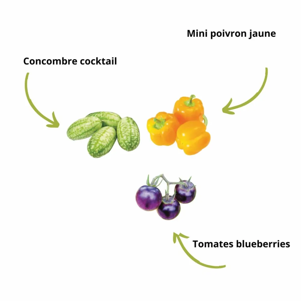 Mes Courses En Vrac Graines De Légumes Et Aromatiques | - Cultivea kit sacs de culture prêt à pousser - concombre, tomate, poivron