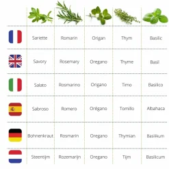Mes Courses En Vrac Graines De Légumes Et Aromatiques | - Cultivea saveurs du monde - kit prêt à pousser herbes de provence - sarriette, romarin, thym, basilic, origan