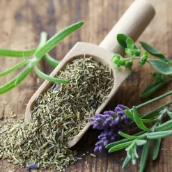 Mes Courses En Vrac Graines De Légumes Et Aromatiques | - Cultivea saveurs du monde - kit prêt à pousser herbes de provence - sarriette, romarin, thym, basilic, origan