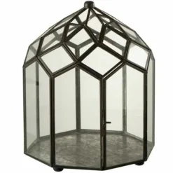Paris Prix - Terrarium en verre vintage "brisla" 30cm noir Online