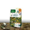 Plantes Avenue Graines De Fleurs | - Graines en mélange - décor couvrant - vilmorin/[-]sachet 50 m²