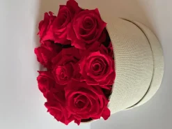 Plantestabilisée.com Bouquets Et Compositions | PLANTESTABILISÉE.COM - Boite ronde de roses stabilisées - roses stabilisées - décoration d'intérieur - 15 cm