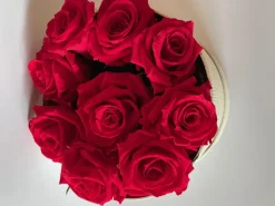 Plantestabilisée.com Bouquets Et Compositions | PLANTESTABILISÉE.COM - Boite ronde de roses stabilisées - roses stabilisées - décoration d'intérieur - 15 cm