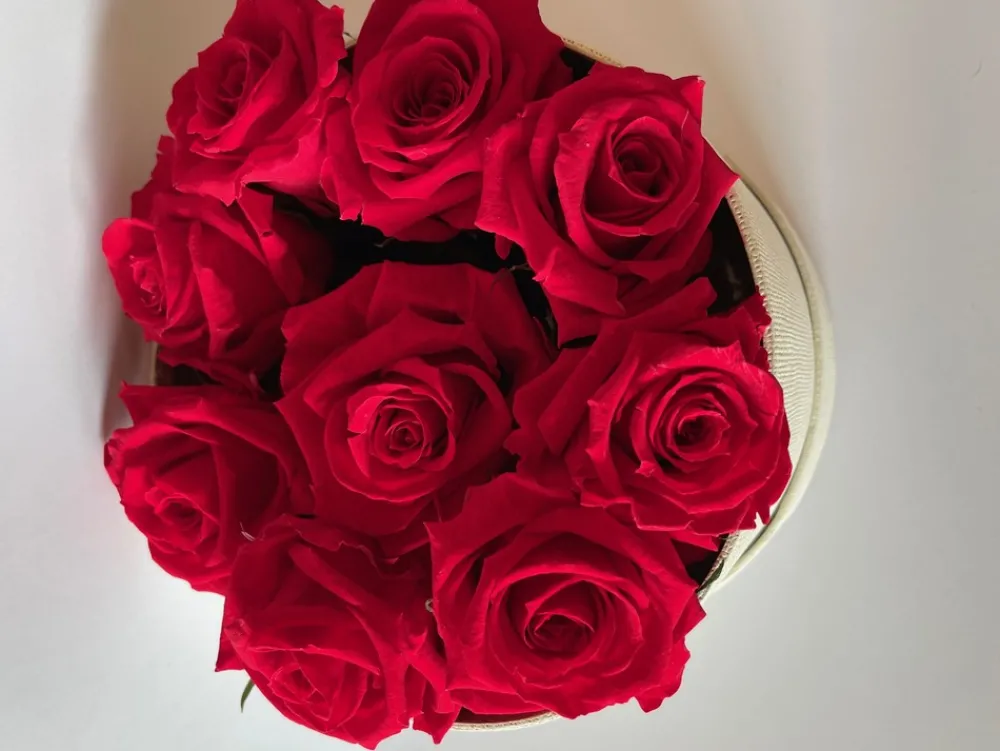 Plantestabilisée.com Bouquets Et Compositions | PLANTESTABILISÉE.COM - Boite ronde de roses stabilisées - roses stabilisées - décoration d'intérieur - 15 cm