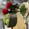 Plantestabilisée.com PLANTESTABILISÉE.COM - Roses rouges stabilisées sous cloche - roses stabilisées - décoration d'intérieur - 22 cm Sale
