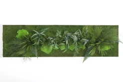 Plantestabilisée.com Objets De Décoration | PLANTESTABILISÉE.COM - Tableau végétal stabilisé teien - tableau stabilisé - décoration d'intérieur - 140*40 cm