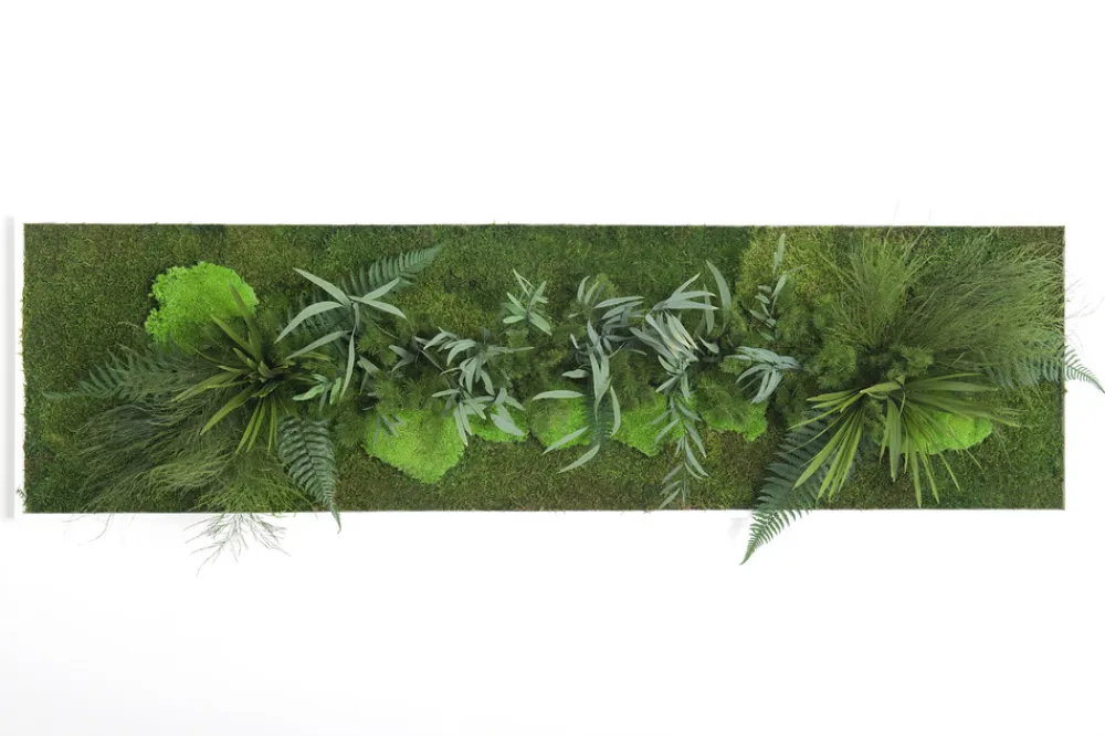 Plantestabilisée.com Objets De Décoration | PLANTESTABILISÉE.COM - Tableau végétal stabilisé teien - tableau stabilisé - décoration d'intérieur - 140*40 cm