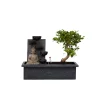 Plant In A Box Bonsaïs | - Bonsaï - bonsai - hauteur 25-35cm - ⌀29cm