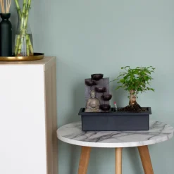 Plant In A Box Bonsaïs | - Bonsaï - bonsai - hauteur 25-35cm - ⌀29cm