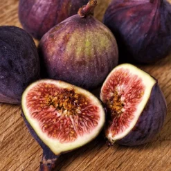 Plant In A Box - Figuier de barbarie - set de 2 - ficus carica - hauteur 70-90cm - ⌀21cm Online