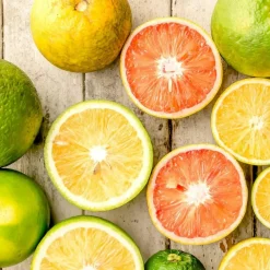 Plant In A Box Fruitiers Et Agrumes | - Mélange de citrons - set de 3 - citrus limon - hauteur 25-40cm - ⌀9cm