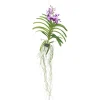 Plant In A Box Orchidées | - Orchidée - vanda 'lila' - hauteur 55-65cm
