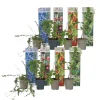 Plant In A Box Fruitiers Et Agrumes | - Plantes fruitières - set de 8 - actinidia, vaccinium, lycium - h25-40cm - ⌀9cm