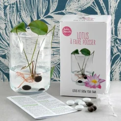 Radis Et Capucine Plantes De Bassin | - Coffret de culture du lotus