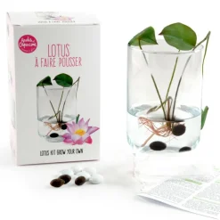 Radis Et Capucine Plantes De Bassin | - Coffret de culture du lotus