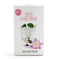 Radis Et Capucine Plantes De Bassin | - Coffret de culture du lotus