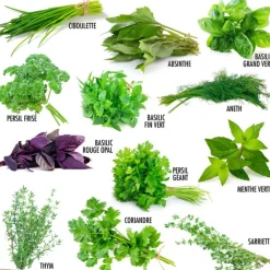 Radis Et Capucine Plants De Légumes Et Aromatiques | - Coffret 52 sachets de graines