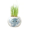 Radis et Capucine - Graines de fleurs-Pot éléphant Outlet