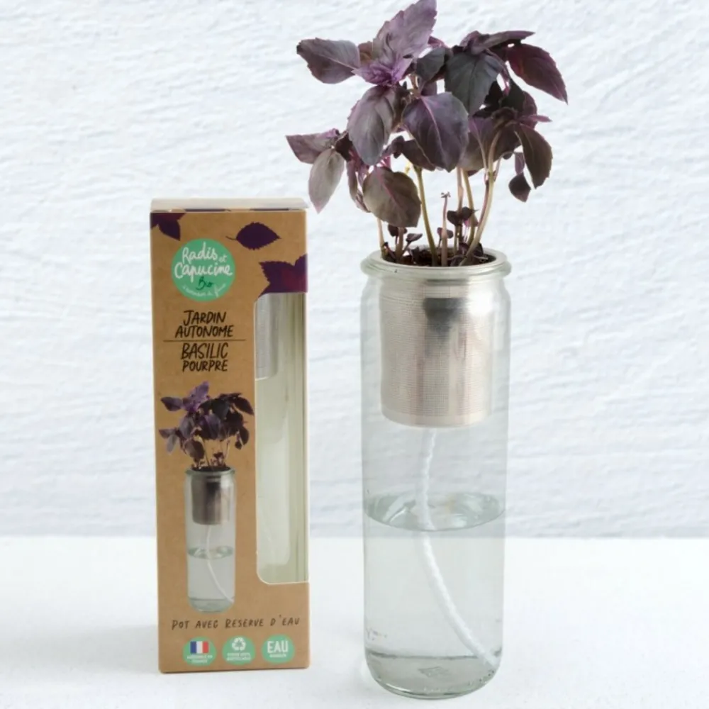 Radis Et Capucine Plants De Légumes Et Aromatiques | - Jardin autonome d'aromates pour faire pousser du basilic pourpre bio