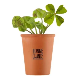 Radis et Capucine - Kit Bonne chance Trèfle à 4 feuilles New