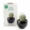 Radis Et Capucine Graines De Légumes Et Aromatiques | - Kit cactus