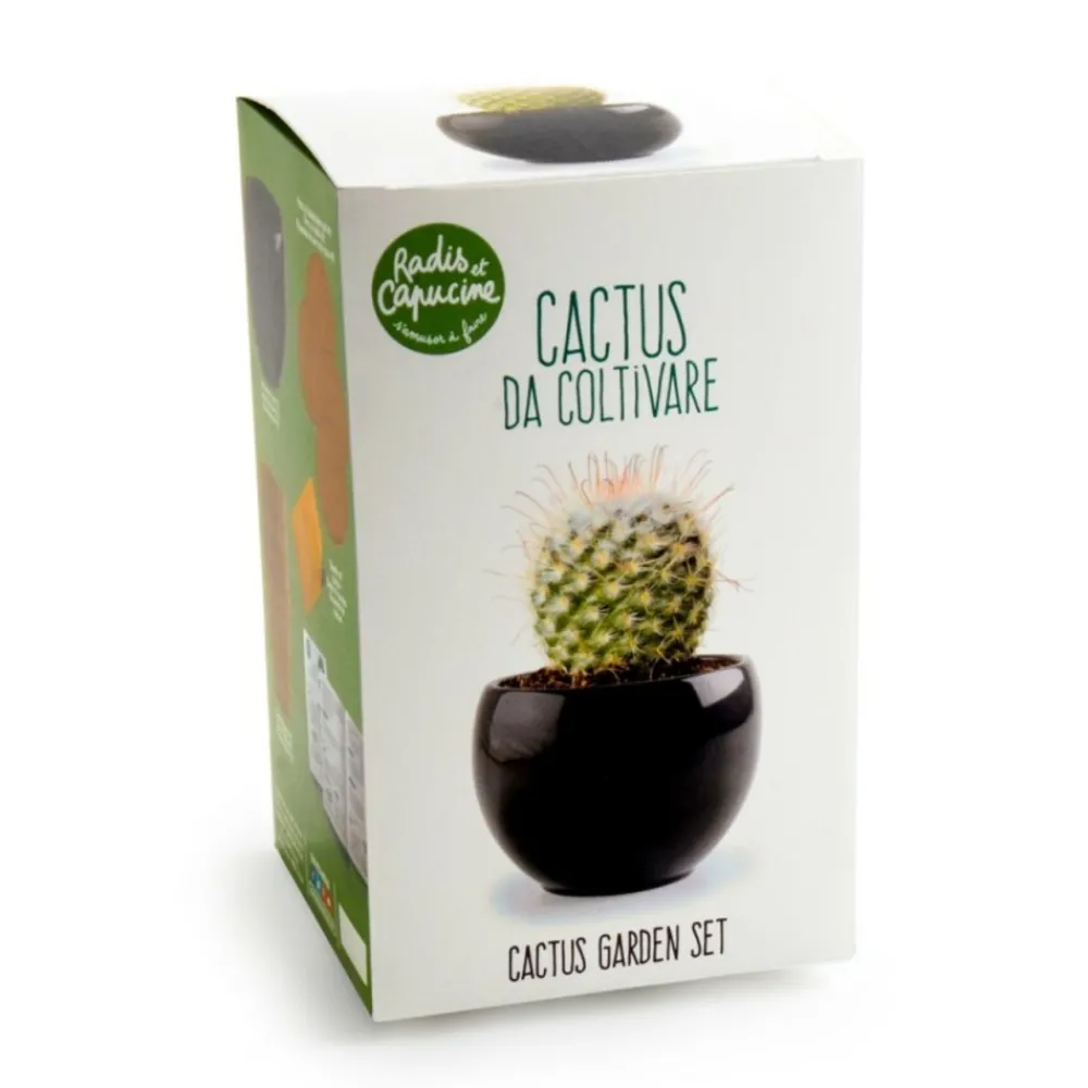 Radis Et Capucine Graines De Légumes Et Aromatiques | - Kit cactus