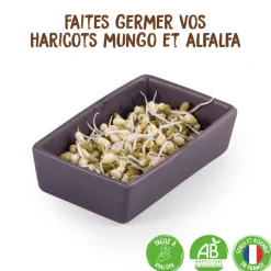 Radis et Capucine Graines De Fleurs | - L'atelier graines à germer coffret 50 gr