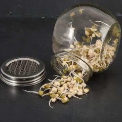 Radis et Capucine Graines De Fleurs | - L'atelier graines à germer coffret 50 gr