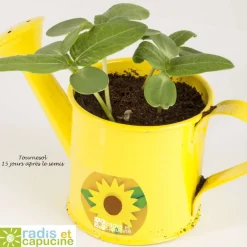 Radis et Capucine Graines De Fleurs | - Mini arrsoir Tournesol- Le jardin de la ferme