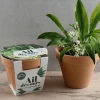 Radis Et Capucine Plants De Légumes Et Aromatiques | - Pot terre cuite antique - ail des ours