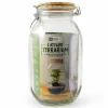 Radis Et Capucine - Terrarium à assembler soi-même avec graines d'asparagus à semer New